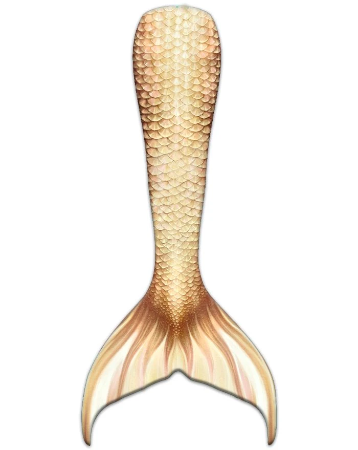 Royal Angel Whimsy Fantasea Tail