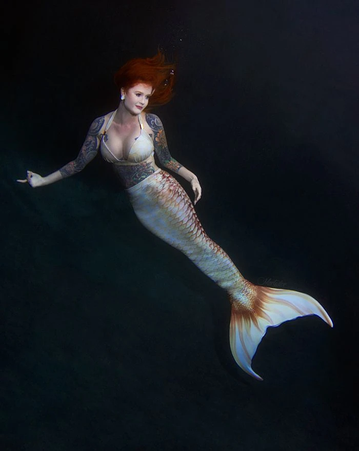 Royal Angel Whimsy Fantasea Tail - Image 3