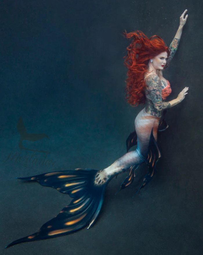 Marron Betta Whimsy Fantasea Tail - Image 3