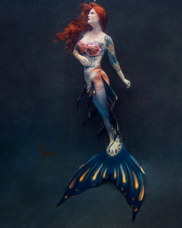 Marron Betta Whimsy Fantasea Tail