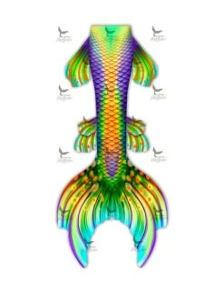 Aqua Flora Whimsy Fantasea Tail "Five"