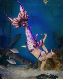 Rose Blush Ripple Whimsy Fantasea Tail "Too"