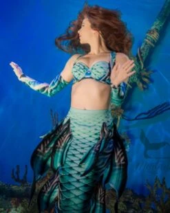 Seven Seas Aphrodite Bikini Top