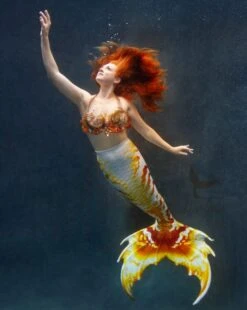 Pirate Booty Whimsy Fantasea Tail