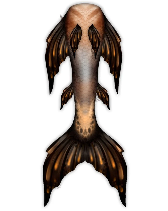 Marron Betta Whimsy Fantasea Tail - Image 2